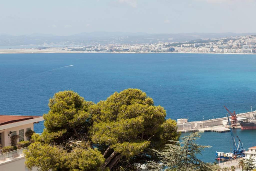 Mont Boron Magnificent View-3 Rooms - Wifi - A.C Nice Exteriör bild